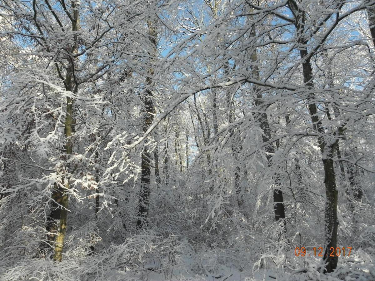 Gite 3 Frontieres Hagenthal-le-Bas Luaran gambar